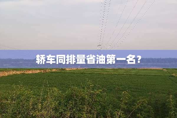 轿车同排量省油第一名？