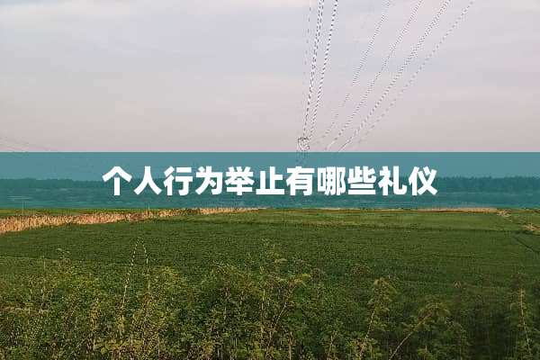个人行为举止有哪些礼仪