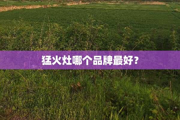 猛火灶哪个品牌最好？