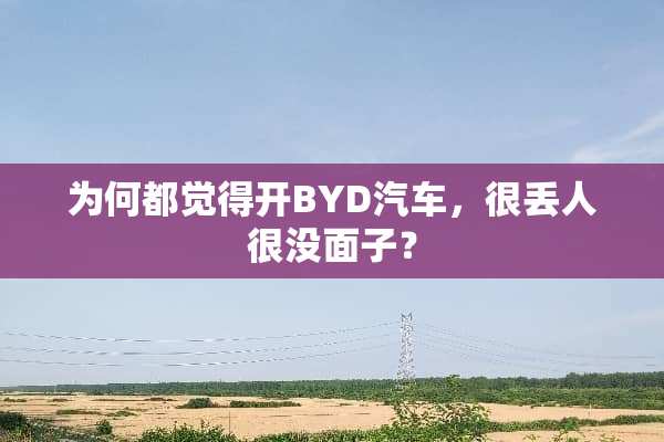 为何都觉得开BYD汽车，很丢人很没面子？