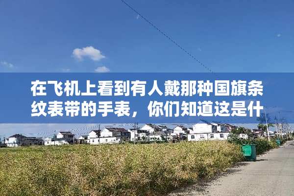 在飞机上看到有人戴那种国旗条纹表带的手表，你们知道这是什么牌子的吗？