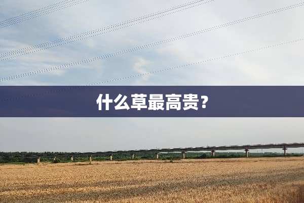 什么草最高贵？