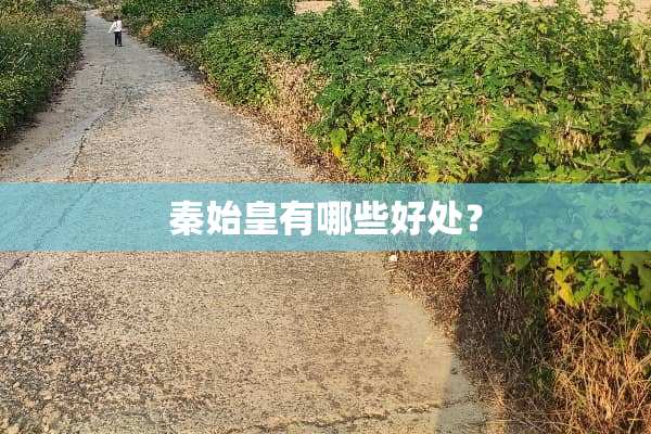 秦始皇有哪些好处？