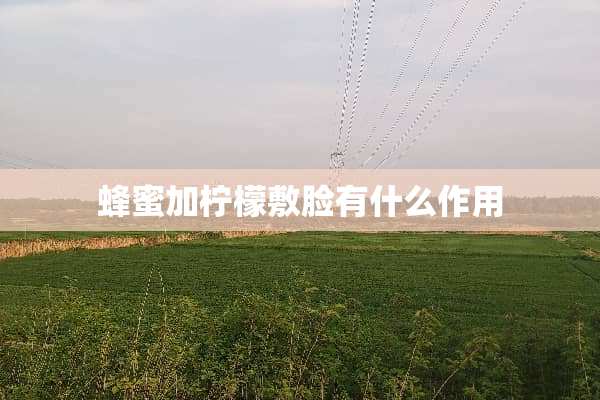 蜂蜜加柠檬敷脸有什么作用