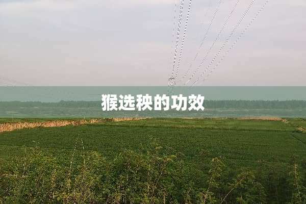 猴选秧的功效