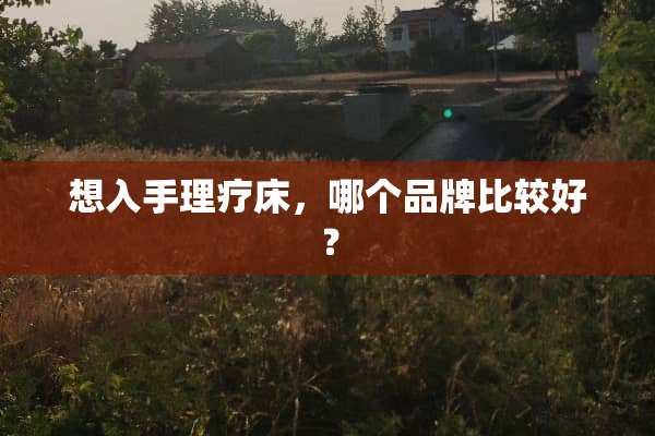 想入手理疗床，哪个品牌比较好？