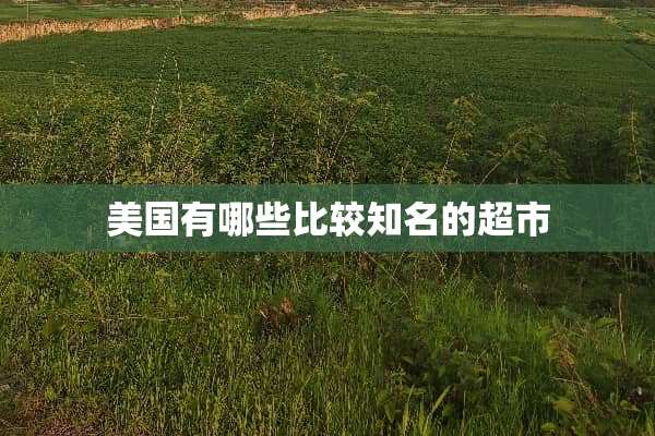 美国有哪些比较知名的超市