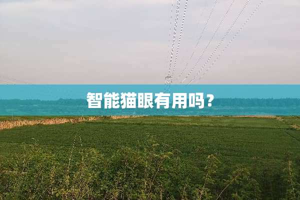 智能猫眼有用吗？