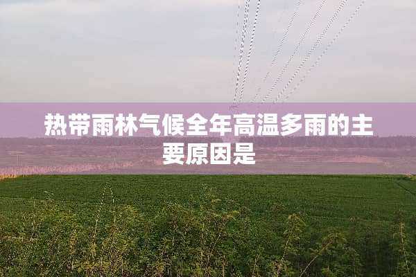 热带雨林气候全年高温多雨的主要原因是
