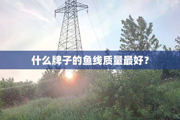 什么牌子的鱼线质量最好？