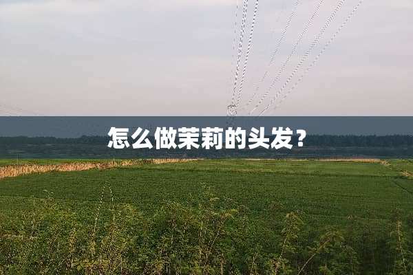 怎么做茉莉的头发？