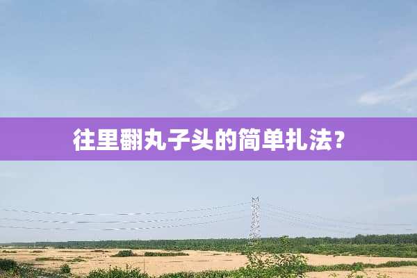 往里翻丸子头的简单扎法？