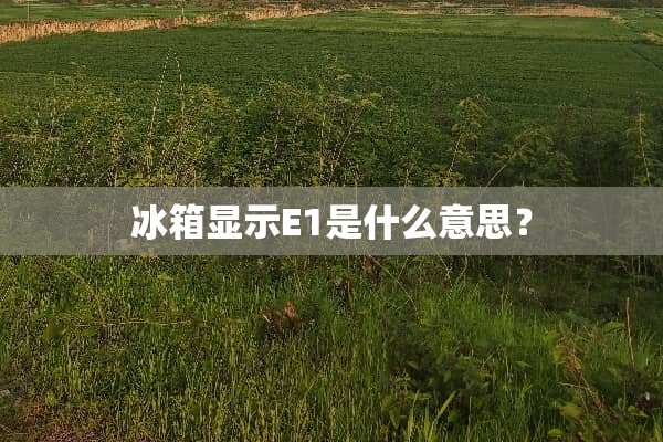 冰箱显示E1是什么意思？