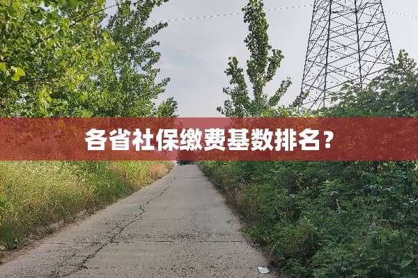 各省社保缴费基数排名？