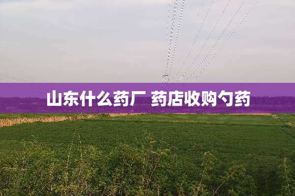 山东什么药厂 药店收购勺药
