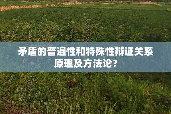 矛盾的普遍性和特殊性辩证关系原理及方**？
