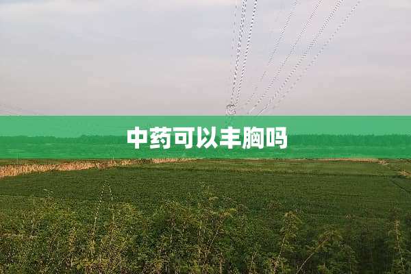 中药可以丰胸吗