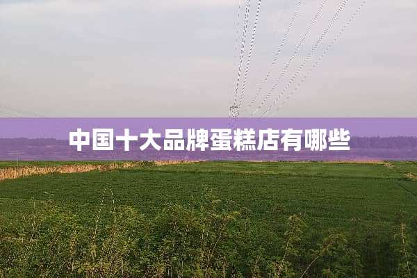 中国十大品牌蛋糕店有哪些
