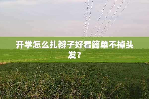 开学怎么扎辫子好看简单不掉头发？
