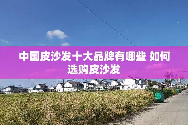 中国皮沙发十大品牌有哪些 如何选购皮沙发
