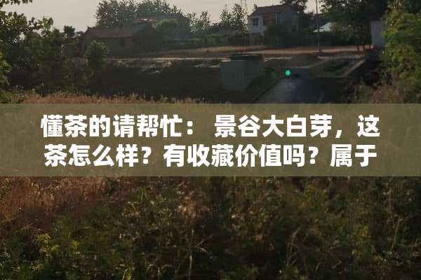 懂茶的请帮忙： 景谷大白芽，这茶怎么样？有收藏价值吗？属于哪一类茶？