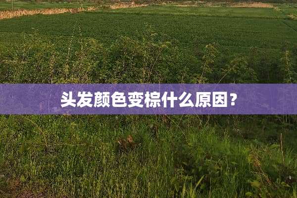 头发颜色变棕什么原因？