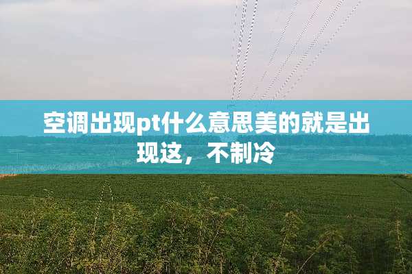 空调出现pt什么意思美的就是出现这，不制冷