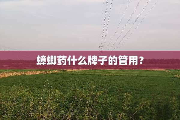 蟑螂药什么牌子的管用？