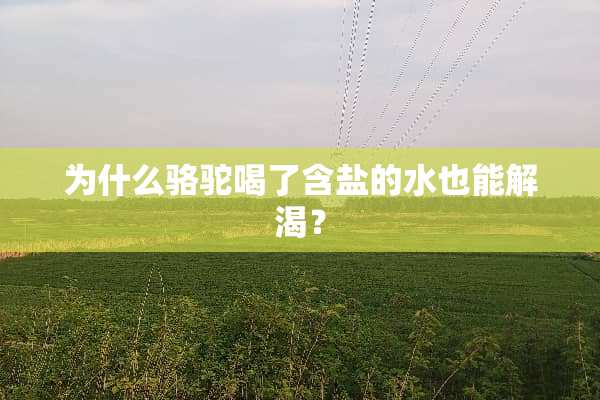 为什么骆驼喝了含盐的水也能解渴？