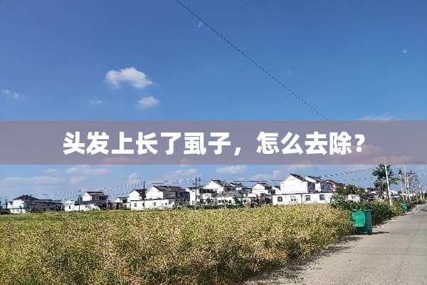 头发上长了虱子，怎么去除？
