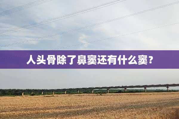 人头骨除了鼻窦还有什么窦？