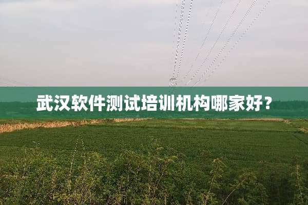 武汉软件测试培训机构哪家好？