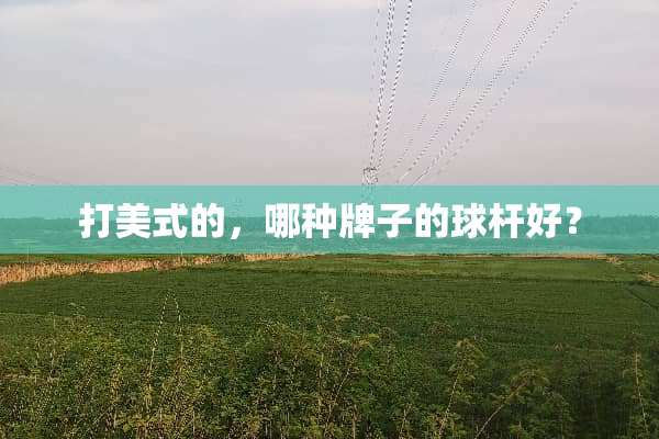 打美式的，哪种牌子的球杆好？