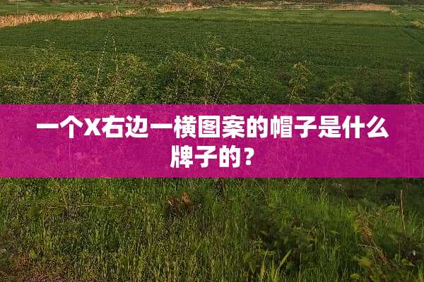 一个X右边一横图案的帽子是什么牌子的？