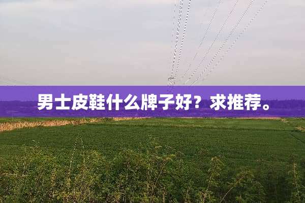 男士皮鞋什么牌子好？求推荐。