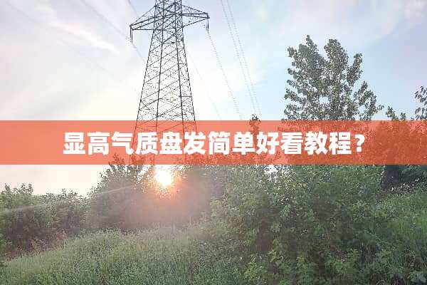 显高气质盘发简单好看教程？