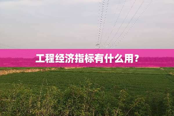 工程经济指标有什么用？