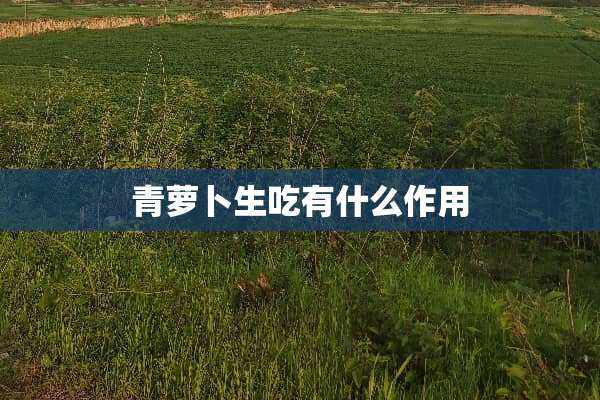 青萝卜生吃有什么作用