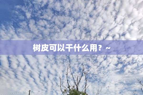 树皮可以干什么用？~