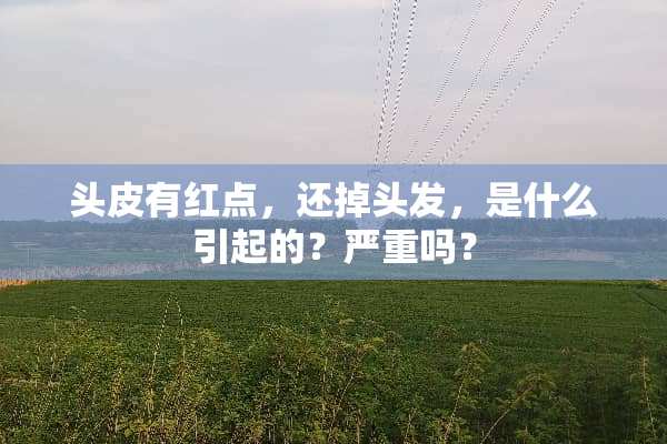 头皮有红点，还掉头发，是什么引起的？严重吗？