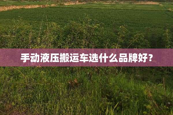 手动液压搬运车选什么品牌好？