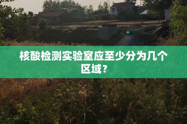 核酸检测实验室应至少分为几个区域？