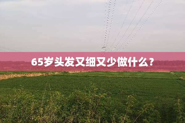 65岁头发又细又少做什么？