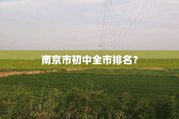 南京市初中全市排名？
