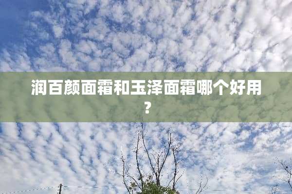 润百颜面霜和玉泽面霜哪个好用？