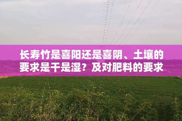 长寿竹是喜阳还是喜*、土壤的要求是干是湿？及对肥料的要求？