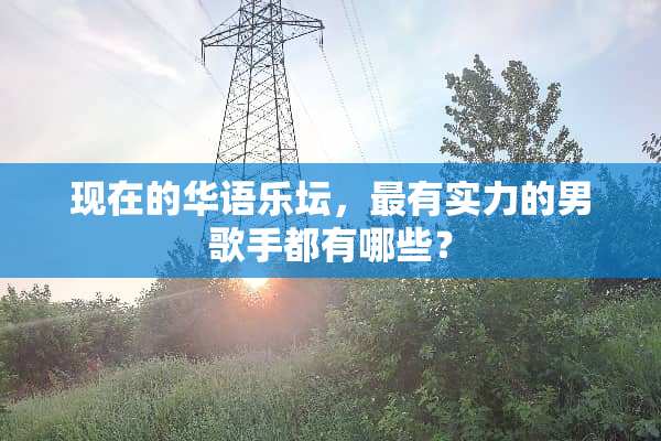 现在的华语乐坛，最有实力的男歌手都有哪些？