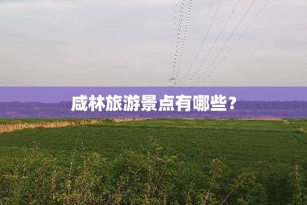 咸林旅游景点有哪些？