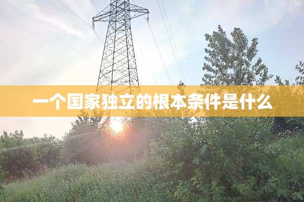 一个国家**的根本条件是什么