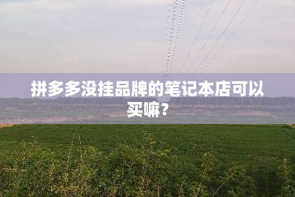 拼多多没挂品牌的笔记本店可以买嘛？